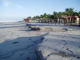 hoteles el salvador