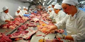formación seguridad alimentaria